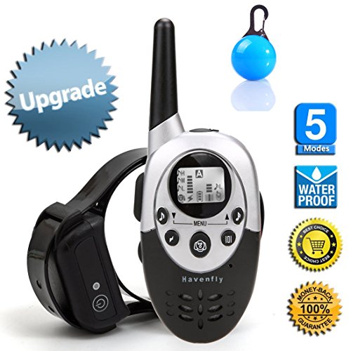 [Neue Version] Buydaly 1000 Yards Wasser Beweis wiederaufladbare einstellbare Hundeschulen Kragen wasserdicht Ausbildung Kragen verstellbar E Hundehalsband mit Funkfernbedienung