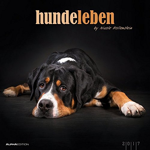 Hundeleben 2017 - Hunde - Bildkalender (33 x 33) - Tierkalender - mit Zitaten - by Nicole Hollenstein