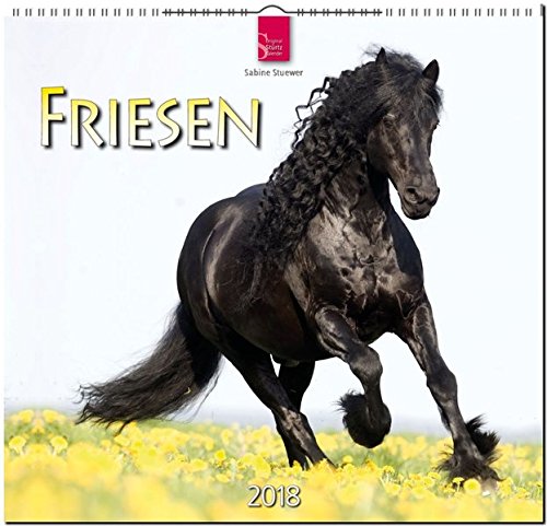 FRIESEN: Original Stürtz-Kalender 2018 - Mittelformat-Kalender 33 x 31 cm