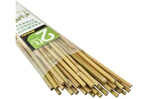 Mininfa Natural Bamboo Canes 2 Feet, Bamboo Stake, Eco-friendly Garden Stakes, Plant Stakes Supports Climbing for Tomatoes, Trees, Beans, 30 Pack