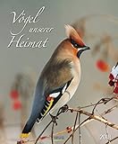 Vögel unserer Heimat 2018: Wandkalender groß. Fotokunst-Kalender mit Bildern von Vögeln in der heimischen Natur. 45,5 x 55 cm by 
