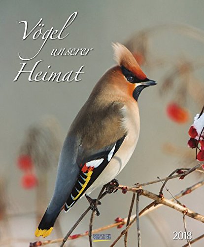 Vögel unserer Heimat 2018: Wandkalender groß. Fotokunst-Kalender mit Bildern von Vögeln in der heimischen Natur. 45,5 x 55 cm