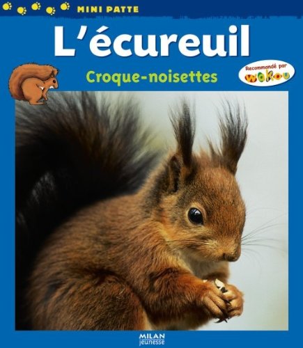 couverture de : L'&eacute;cureuil