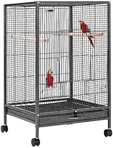 Jainsons Pet Products 30 Inch Height Wrought Iron Bird Cage with Rolling Stand for Parrots Conure Lovebird Cockatiel
