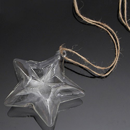 Kungfull Mall Lucky Star Form Glas Vase Blumenvase Wasser Kulturanlage Container - 6