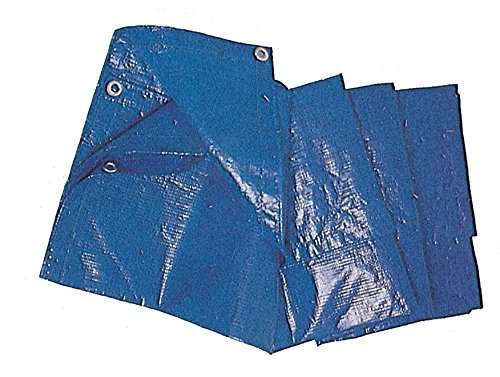 CAPALDO Bâches de couverture en polyéthylène 4 x 5 m