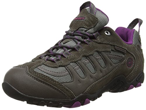 Hi-Tec Penrith Low Waterproof, Zapatillas de Senderismo Mujer, Gris (C