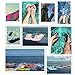 Unisex Casual Flip-flops Beach Slippers Anti-Slip House Slipper Sandals Orange