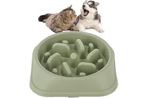 PAWSAYES Slow Feeder Dog Bowl, Labyrinth Design Slow Feeder Pet Dog Bowls Small Slow Eating Dog Food Bowls Maze Dog Puppies Slow Feeder Bowl Green
