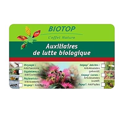 Biotop Phytoseiulus X 500 acariens anti acariens