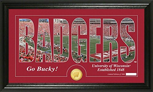 Highland Mint The University of Wisconsin Silhouette Coin Panoramic Photo Mint, Bronze, 22" x 15" x 4"
