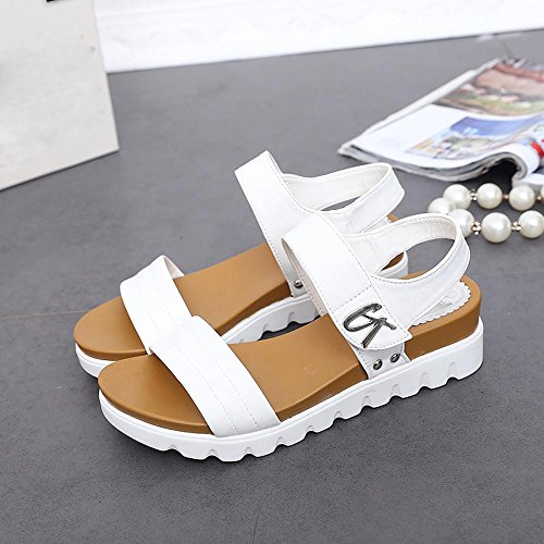 Damen Sommer Sandalen Xinan im Flachen Sandalen Bequeme Damenschuhe (40, Weiß) - 3