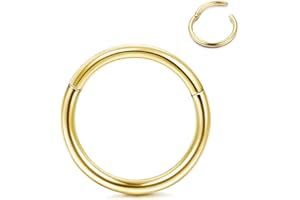 Roheafer Anillos nasales hipoalergénicos Titanio G23 Anillos Nariz aro 14G 16G 18G 20G Anillos segmentos bisagras para Mujeres Hombres Helix Tragus Cartílago Septum Joyería Anillos perforación Cuerpo