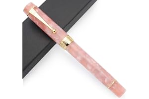CZXWYST JINHAO Century Tofu 100 18KGP Stylo Plume Résine Plaqué Or (Rose, Plume M)