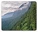 Produktbild Drempad Gaming Mauspads, Oregon Mouse Pad, Dense Green Forest in The Slopes of a Mountain in The Countryside of Oregon, Rectangle Non-Slip Rubber Mousepad, Grey Forest Green 9.8 X 11.8 INCH
