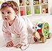 Hape HAP-E0349 Walk-A-Long Snail