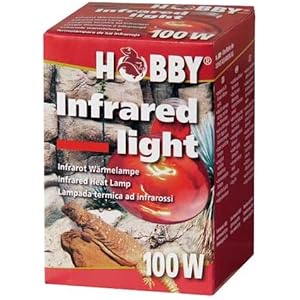 Infrared Light, 50 W