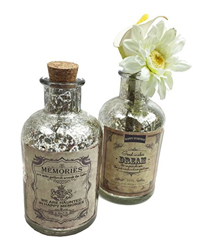 2er Set Glasflasche Antik "Dream & Memories" H:13 cm - als Vasen Set, Tischdeko etc.