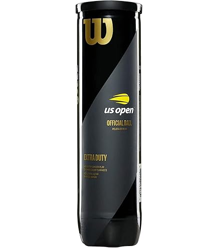 Wilson Roland Garros All Court 4 Balls Can - Extreme Tennis EN - Foto 5