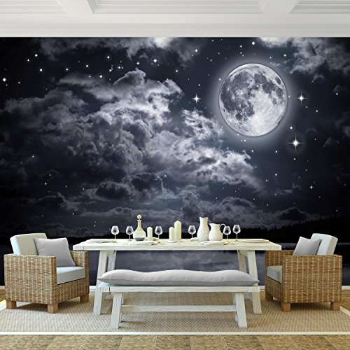 Fototapete Vollmond 308 x 220 cm – Vliestapete – Wandtapete – Vlies Phototapete – Wand – Wandbilder XXL – !!! 100% MADE IN GERMANY !!! Runa Tapete 9116010c - 2