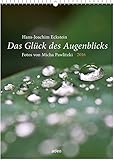 Image de Das Glück des Augenblicks 2016 - Wandkalender