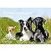 Produktbild Premium Kalender 2018 · DIN A4 · Hundezauber · Hunde · Welpen · Tiere · Edition Seelenzauber