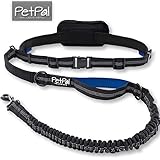 Jogging-Leine - Premium Hundeleine +2 Gratis Abstracts | Laufleine mit 100%-Zufriedenheitsgarantie | Inklusive Zipper-Tasche | Gepolsteter Verstellbarer Neopren-Bauchgurt | Aus Robustem Nylon für Kleine & Große Hunde bis 62 kg | Ideal zum Freihändigen Joggen, Wandern & Spazieren | Elastische Bungee-Leine | Reflektierende Nähte