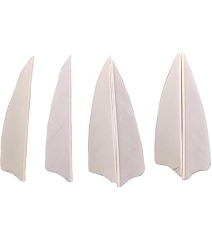 Plumes De Dinde 5 Pouces Pour Flèches De Tir à L'arc - RW Bouclier Naturelles