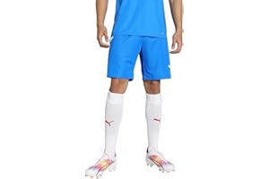 PUMA Herren Shorts, ,