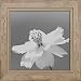 Produktbild WandStyle WS-H660-020 Bilderrahmen / Fotorahmen 28 x 35 cm Natur Schwemmholz Shabby Chic Vintage Massivholz