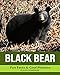 Price comparison product image Black Bear: Fun Facts & Cool Pictures