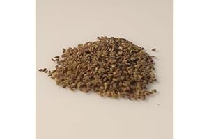 LE GRENIER D'ABONDANCE LES GRAINES QUI DONNENT ENVIE 500 graines à semer - Le Grenier d'Abondance - ORTIE - Urtica Dioica