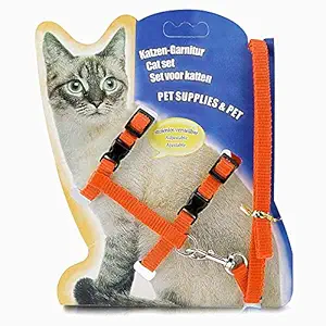 Western Era Halter Nylon Soft Adjustable Harness with Leash Rope Set for Cat (Orange)