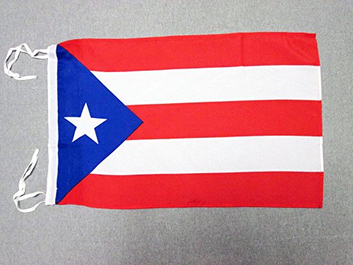 AZ FLAG - Puerto Rico Flag - 18'' x 12'' - 100% Polyester Puerto Rican Small Banner with Two Cords - Fade Resistant - Vivid Colors - 18x12 in - 45x30 Cm