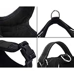 Motionjoy-Dog-Harness-Leash
