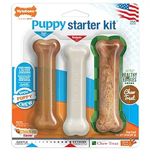 Nylabone Just for Puppies Starter Kit Bone Puppy Dog Chew Toys