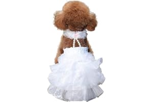 DELIFUR Abito da sposa bianco per cani da principessa alla moda gonne per feste per cani di taglia piccola e media (L)