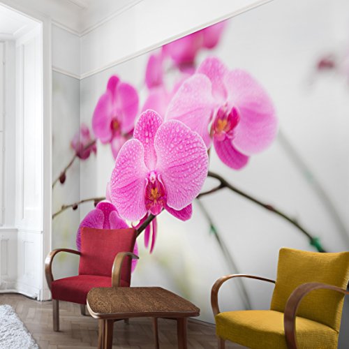 Vliestapete – Nahaufnahme Orchidee – Fototapete Breit Vlies Tapete Wandtapete Wandbild Foto 3D Fototapete, Größe HxB: 225cm x 336cm - 5