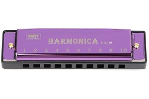 AyeVision 10 24 Holes Harmonica Mouth Organ Puzzle Key of C 20 Tones Musical Instrument Beginner, Harmonica C (10 Holes, Purple)