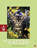 Katzen 3D Posterkalender 2016 by 