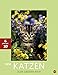 Katzen 3D Posterkalender 2016 by 