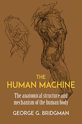 Free The Human Machine Dover Anatomy For Artists Pdf Download Tainagdgbattista