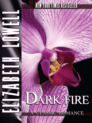 Dark Fire (English Edition) livre