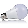 DC 12V / 24V LED Bulb - 9W