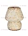 Somil Hand Decorative With Colorful Beads & Chips Desk table Lamp RS.895.00