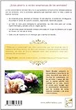 Image de Lo que los animales quieren que sepamos - comunicaciones telepaticas