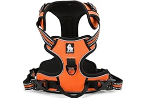 WINHYEPET True Love Harnais pour Chien Anti Traction Réfléchissant Réglable, Rembourré Sécurisé, pour Moyen et Grand Chien, TLH5651 (Orange, L)