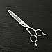 Produktbild Haarstyling 6-Zoll-Friseur-Berufs-Edelstahl-Haarschneidewerkzeug-Schere, dünner Zahnschneidefischknochen-Schere Modellier Styling zubehör (Farbe : Silver)