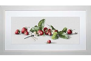 Lucas-S Strawberries Counted Cross Stitch Kit, Pack of 1