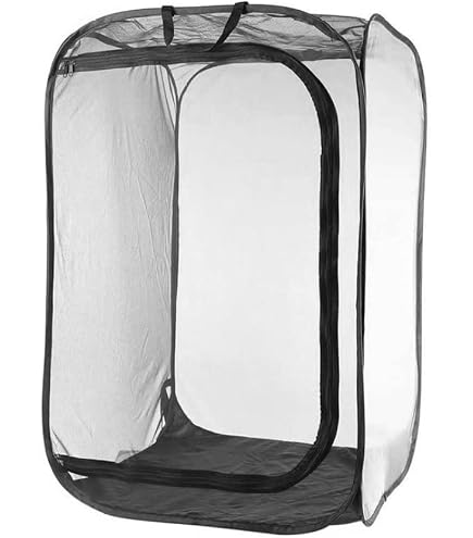 8-Quart Digital Air Fryer